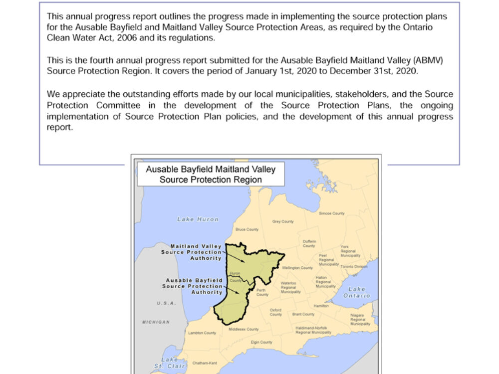 Fourth Annual Progress Report – 2020